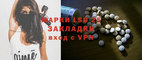 прущий лед Алзамай