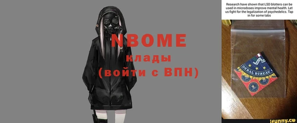прущий лед Алзамай