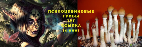 прущий лед Алзамай